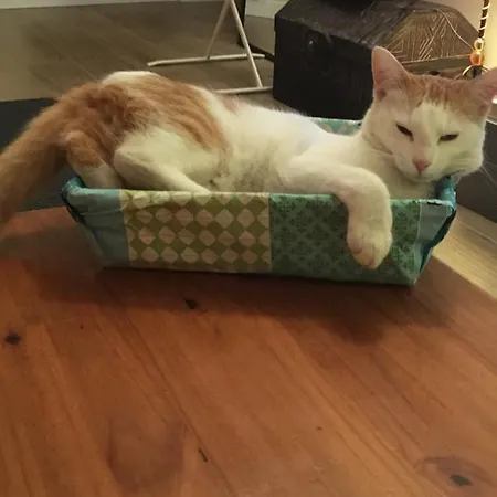 Jolie Maison Prázdninový dům Ares